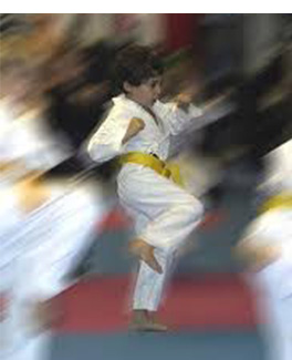 Imagem sobre o Karate na Gravidez e no Autismo